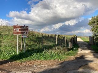 mariposa - Monterosi - 6
