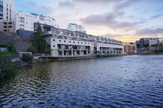 Tyger Lake Luxury Loft - - 9