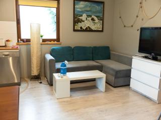 Authentic Holiday Home in Kopalino with Fireplace - Kopalino - 1