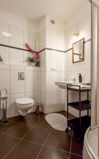 Modern apartment Krymská & Francouzská street - 7