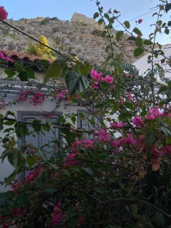 D&D 3 Nafplio - Nafplio - 5