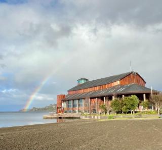 Frutillar borde lago - Frutillar - 3