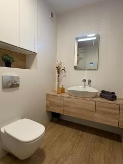 The Grey Nest, FREE Private Parking - Cluj-Napoca - 2