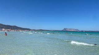DreamHouse B&B Olbia - Olbia - 5
