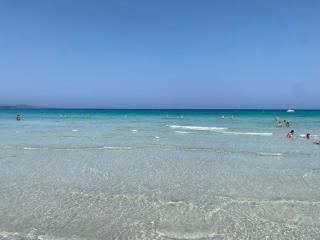 DreamHouse B&B Olbia - Olbia - 6