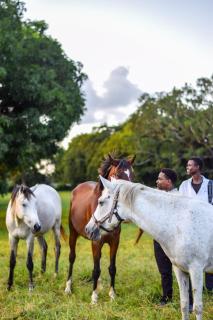 Galloping Adventures - 0