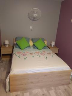 fleurs de printemps - Jonquille chic - Vrécourt - 3