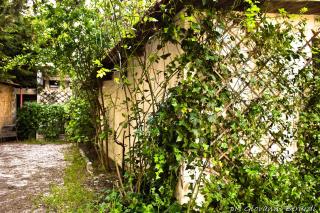 Albarosa - Ruvo di Puglia - 3