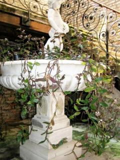 Ca' Querini - Apartment - Venice - 8