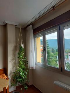 Alojamiento Sena VUT LE-1254 - Villablino - 4