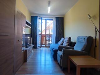 Przycup w Karkonoszach Apartamenty - Leśny Dom Przemysłowa 18a Karpacz - Karpacz - 5