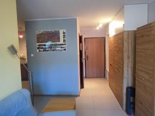 Przycup w Karkonoszach Apartamenty - Leśny Dom Przemysłowa 18a Karpacz - Karpacz - 1