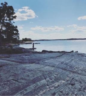 Large & nice house with fireplace, rural location - Väddö - 1