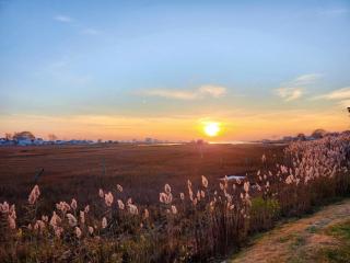 Great Hammcock Getaway - Old Saybrook - 0