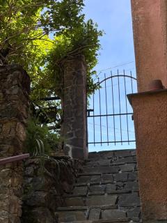 Salvia Apartment - Scogna Superiore - 6