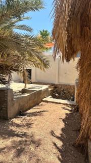 palm nest - Dahab - 8