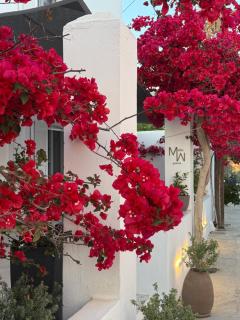 Mellow Paros - Parikia - 9