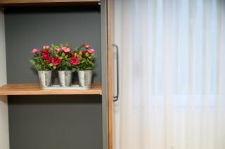 Emanuel Apartments - Strumica - 1