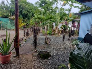 La Chonta de Corcovado - 4