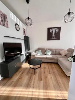 The cozy 291 - Bruxelles - 0