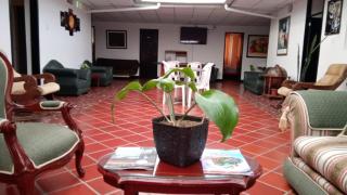 Hostal las vegas Malaga - - 6