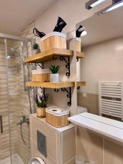 Apartman Sanjalica - Zlatibor - 3