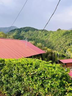 Mario´s Lodge Providencia - Copey - 8