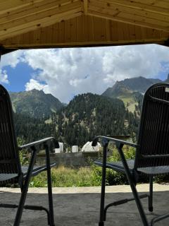Naltar Bala - Gilgit - 8