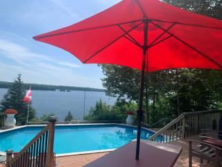 Q Estate Pool cottage - Westport - 4