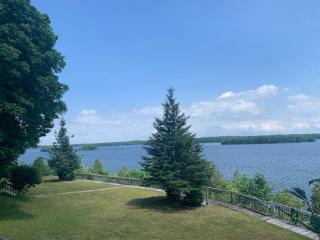 Q Estate Pool cottage - Westport - 9