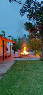 LA ARAUCARIA, Casa de Campo - Trenque Lauquen - 2