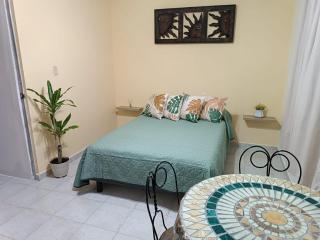 Amplio cuarto con baño privado Casa Kuri - Cancún - 6
