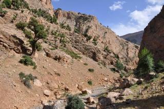 Almarkaz Assiyahi - 5