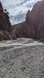 Almarkaz Assiyahi - - 2