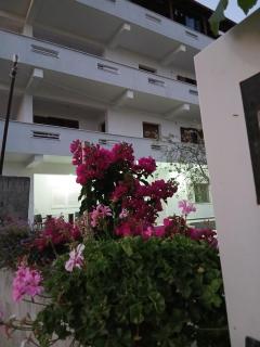 Vila Bali - Durrës - 6