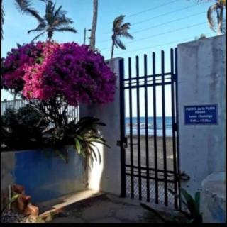 Comfortable apartment with ocean view 2pax - Porlamar - 4