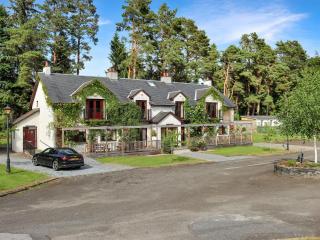 Family Lodge No, 5 - Uk45694 - Moulin - 0