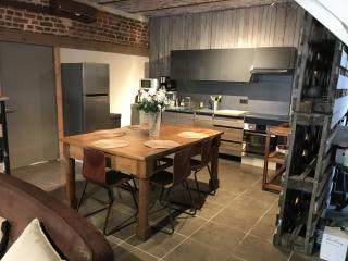 Gîte dans une écurie rénovée avec jardin privé, clim, parking et WIFI - FR-1-510-150 - Flines-lès-Mortagne - 3