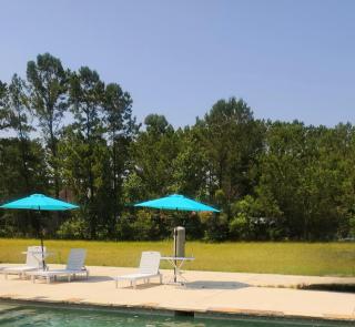 Luxury Estate with Pool & Theatre - Gulfport - 4