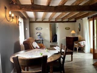 Fermette restaurée au calme avec climatisation et jardin - FR-1-489-580 - Lurcy-Lévis - 9