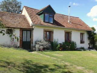 Fermette restaurée au calme avec climatisation et jardin - FR-1-489-580 - Lurcy-Lévis - 7
