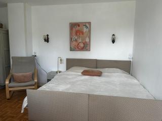 Studio entre Thermes et centre-ville avec jardin, parking et WIFI - FR-1-541-119 - 5