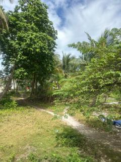 Farm small courtyard - Sampong - 6