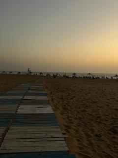 Forêt diplomatique tanger plage - Oulad Akkou - 5
