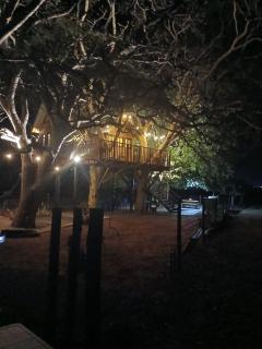 Casa na arvore Dream tree house - Santa Clara dʼOeste - 0
