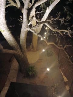 Casa na arvore Dream tree house - Santa Clara dʼOeste - 6