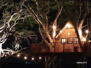 Casa na arvore Dream tree house - 7