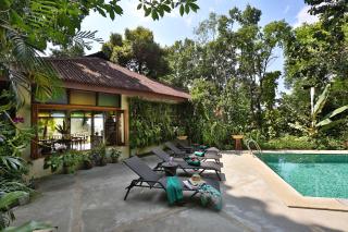 Ambong Rainforest Retreat - 5