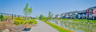 Immaculate suite in Airdrie - Airdrie - 7