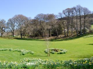 Crogen Wing - Llandrillo - 4